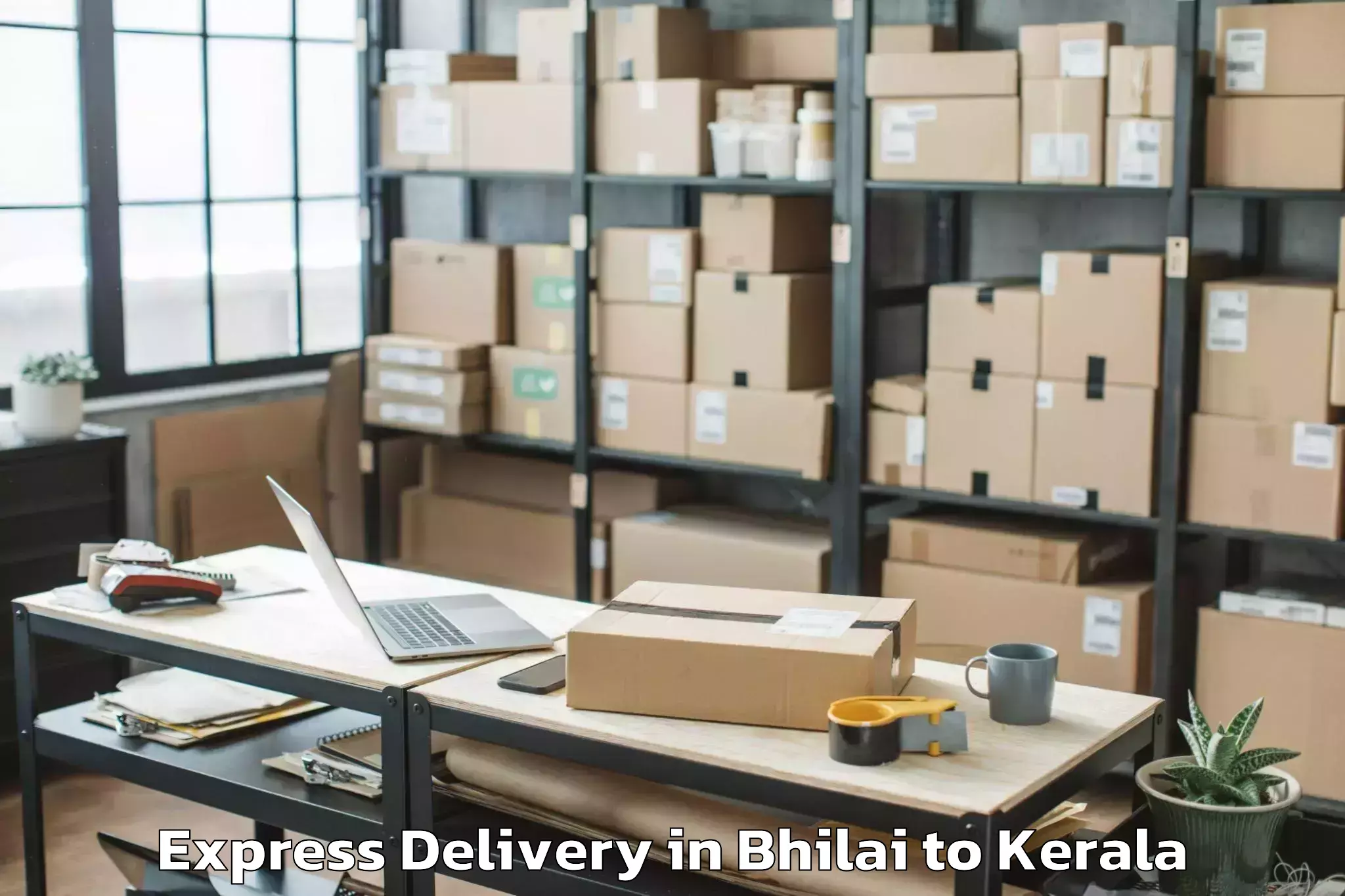 Leading Bhilai to Naduvannur Express Delivery Provider